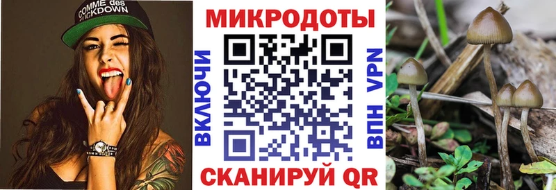 KRAKEN зеркало  купить наркотики цена  Хотьково  Псилоцибиновые грибы Magic Shrooms 